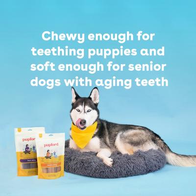 Chicken High-Protein Jerky Dog Treats, 10-oz bag