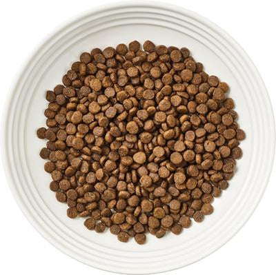 Chicken Recipe Grain-Free Dry Kitten Food, 2.5-lb bag