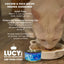 Kettle Creations Chicken & Duck Recipe in Gravy Wet Cat Food, 2.47-oz can, case of 12