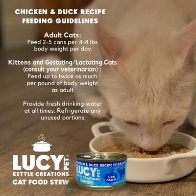 Kettle Creations Chicken & Duck Recipe in Gravy Wet Cat Food, 2.47-oz can, case of 12