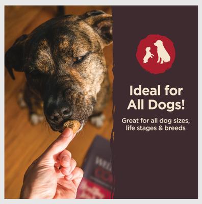 CORE Healthy Joints Beef & Chicken Grain-Free Dog Treats, 8-oz bag