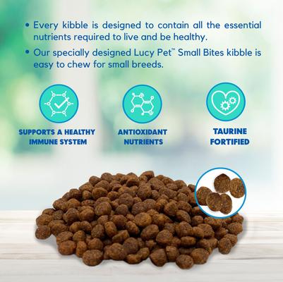 Salmon, Pumpkin & Quinoa Small Bites Dog Food, 4.5-lbs bag