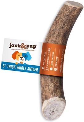 Medium Whole Elk Antler Extra Thick Dog Chew Treats, 6-in