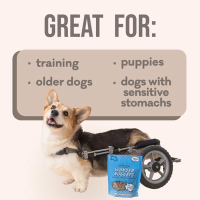 Wonder Nuggets Whitefish & Kelp Soft & Chewy Dog Treats, 10-oz bag