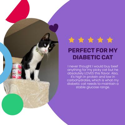 Beef Right Meow! Pate Grain-Free Canned Cat Food, 3-oz can, case of 4