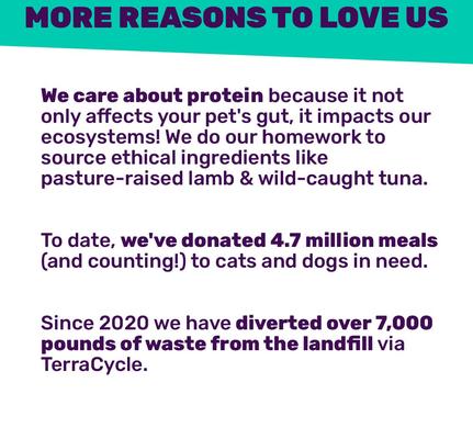 Beef Right Meow! Pate Grain-Free Canned Cat Food, 3-oz can, case of 4