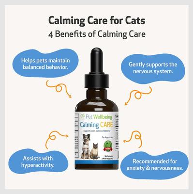Calming CARE Bacon Flavored Liquid Calming Supplement for Cats & Dogs, 2-oz bottle