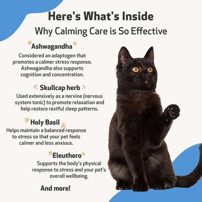 Calming CARE Bacon Flavored Liquid Calming Supplement for Cats & Dogs, 2-oz bottle