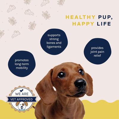 Advanced Hip & Joint Powder Supplement for Dogs, 4.8-oz tub