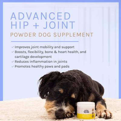 Advanced Hip & Joint Powder Supplement for Dogs, 4.8-oz tub