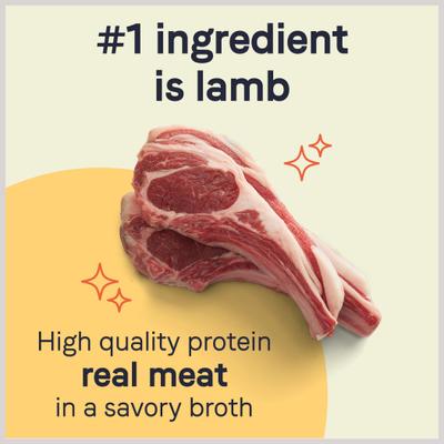 PURE All Stages Grain-Free Limited Ingredient Lamb Recipe Canned Dog Food, 13-oz, case of 12