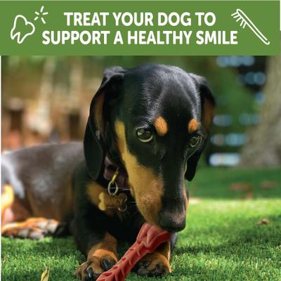 Golosinas dentales naturales sin cereales para perros de Wellness Brushzees, extra pequeñas, 28 unidades
