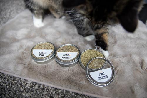 Flight Catnip, 0.77-oz tin, case of 3