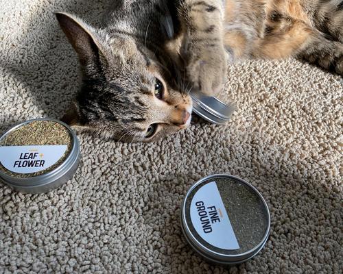 Flight Catnip, 0.77-oz tin, case of 3