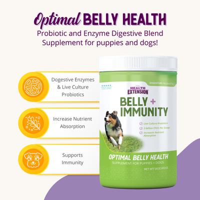 Belly + Immunity Powder Digestive & Immune Supplement for Dogs, 8-oz bottle