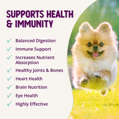 Belly + Immunity Powder Digestive & Immune Supplement for Dogs, 8-oz bottle