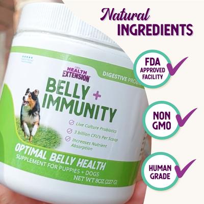 Belly + Immunity Powder Digestive & Immune Supplement for Dogs, 8-oz bottle