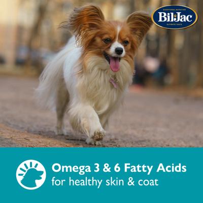 Small & Medium Biscuit Crunchy Dog Treats, 26-oz bag