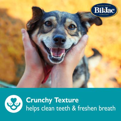 Small & Medium Biscuit Crunchy Dog Treats, 26-oz bag