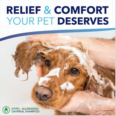 OxyMed Hypo-Allergenic Oatmeal Dog & Cat Shampoo, Unscented, 1-gal bottle