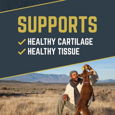 Beef Flavored Soft Chew Hip & Joint Supplement for Dogs, 10.5-oz jar