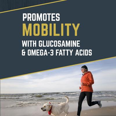 Beef Flavored Soft Chew Hip & Joint Supplement for Dogs, 10.5-oz jar