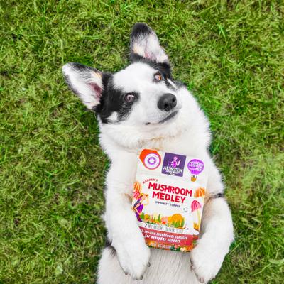 Harper's Mushroom Medley Dog & Cat Supplement, 2.12-oz bag