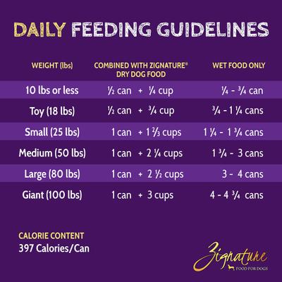 Trout & Salmon Limited Ingredient Formula Canned Dog Food, 13-oz, case of 12