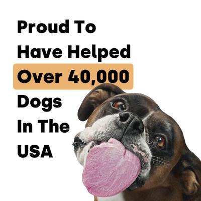 City Dog Detox Peanut Butter Flavored Chews Liver Supplement for Dogs, 90 count