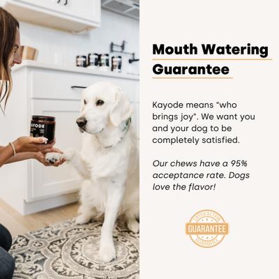 City Dog Detox Peanut Butter Flavored Chews Liver Supplement for Dogs, 90 count