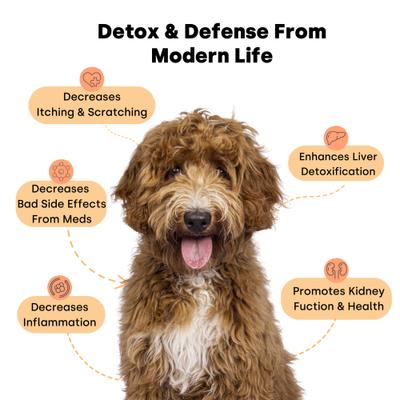 City Dog Detox Peanut Butter Flavored Chews Liver Supplement for Dogs, 90 count