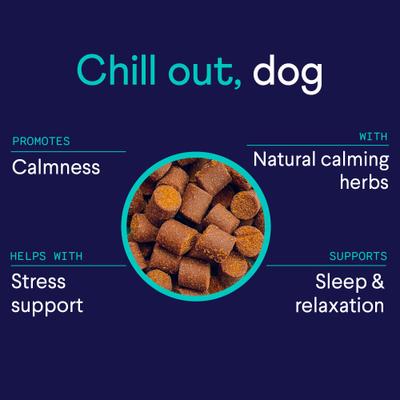 Calming Aid Soft Chew Dog Supplement, 90 count