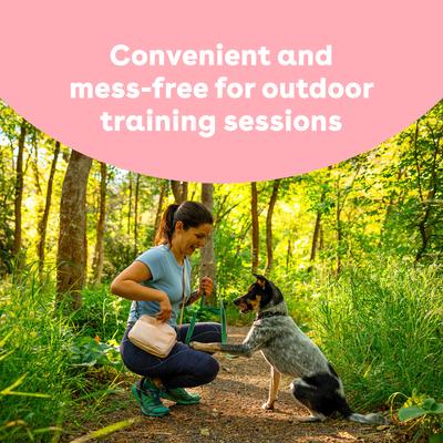 Train Turkey & Veggies Natural Freeze-Dried Dog Treats, 5-oz pouch