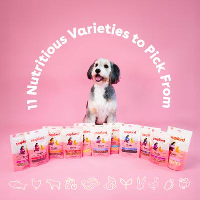 Train Turkey & Veggies Natural Freeze-Dried Dog Treats, 5-oz pouch