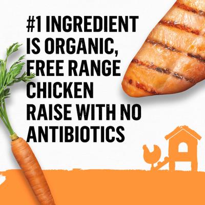 Organic Chicken & Carrot Recipe Wet Dog Food, 13-oz can, case of 12
