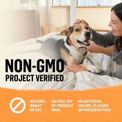 Organic Chicken & Carrot Recipe Wet Dog Food, 13-oz can, case of 12