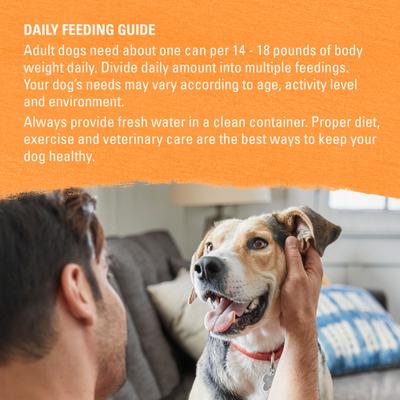 Organic Chicken & Carrot Recipe Wet Dog Food, 13-oz can, case of 12