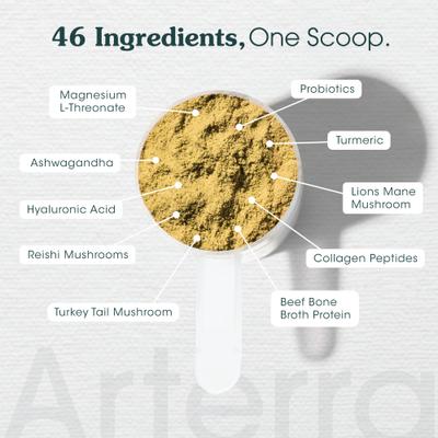 The Daily Dog Supplement Powder Multivitamin for Adult Dogs, 30 Scoops