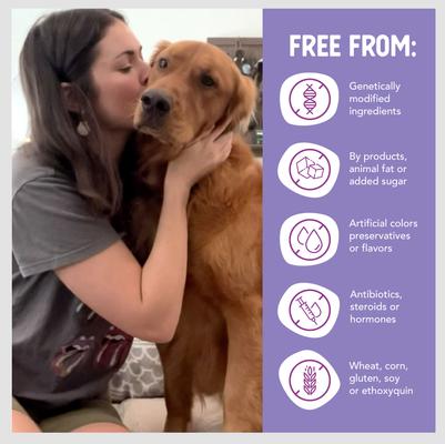 Grain-Free Duck Entree Canned Dog Food, 12.5-oz, case of 12