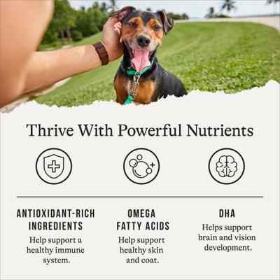 Grain-Free Puppy Lamb & Sweet Potato Recipe Dry Dog Food, 12-lb bag