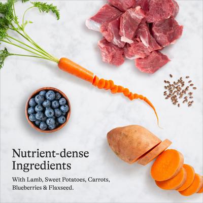 Grain-Free Puppy Lamb & Sweet Potato Recipe Dry Dog Food, 12-lb bag