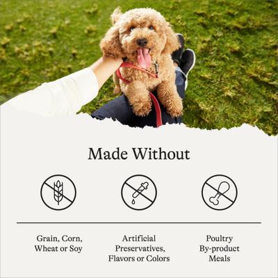 Grain-Free Puppy Lamb & Sweet Potato Recipe Dry Dog Food, 12-lb bag