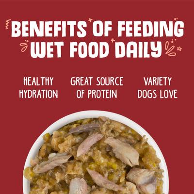 Marbella Paella with Mackerel & Pumpkin in Aspic Grain-Free Canned Dog Food, 14-oz, case of 12