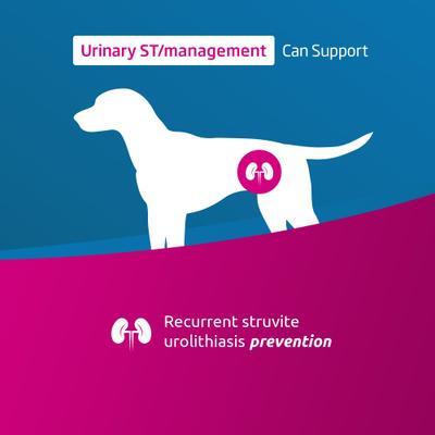 Urinary ST Management Canine Dry Dog Food, 4.4-lb bag