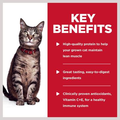 Adult Tender Ocean Fish Recipe Cat Food, 2.8-oz pouch, case of 24