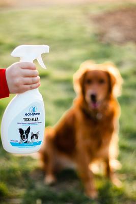 Unscented Flea & Tick Dog & Cat Spray, 8-fl oz bottle