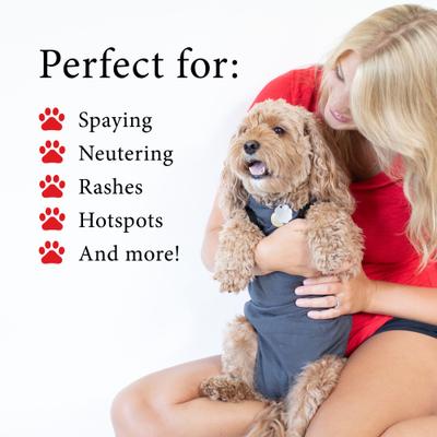 Recovery Suit Post-Surgery Dog Onesie, Grey, XX-Large