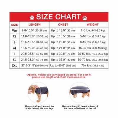 Recovery Suit Post-Surgery Dog Onesie, Grey, XX-Large