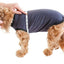 Recovery Suit Post-Surgery Dog Onesie, Grey, XX-Large