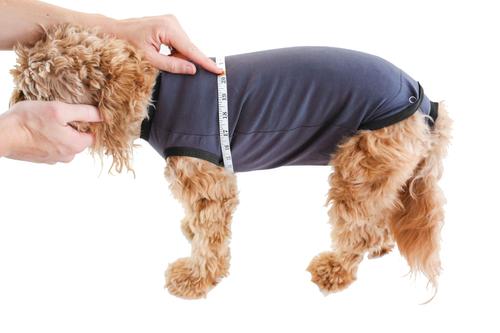 Recovery Suit Post-Surgery Dog Onesie, Grey, XX-Large